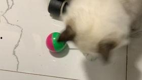 国产拍偷,揭秘镜头背后的偷拍艺术 第2张 国产拍偷,揭秘镜头背后的偷拍艺术 第2张