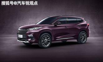 国产国产精品  第2张