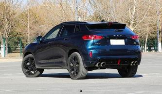 国产国产精品  第3张