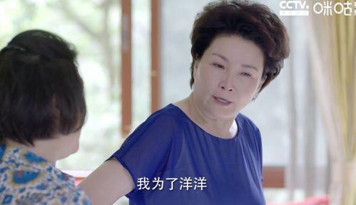 国产母子,传承与创新的故事 第3张 国产母子,传承与创新的故事 第3张