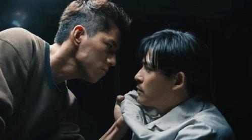 国产性虐,探索社会现象与人性冲突的深度剖析  第3张