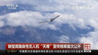 国产公开免费视频,带你领略光影魅力  第2张