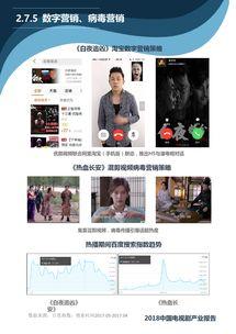 2018国产在线视频,内容创新与市场崛起的年度盘点 第3张 2018国产在线视频,内容创新与市场崛起的年度盘点 第3张